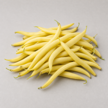 Organic Bean Wax / Yellow