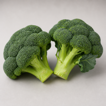 Organic Broccoli