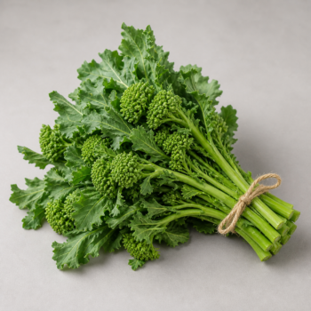 Organic Broccoli Rabe / Italia