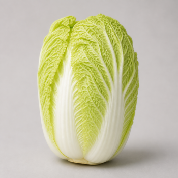Organic Cabbage Chinese / Napa