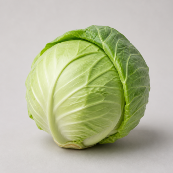 Organic Cabbage Green
