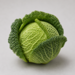 Organic Cabbage Savoy