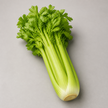 Organic Celery Bunch