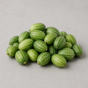 Organic Cucumber  Mouse Melons