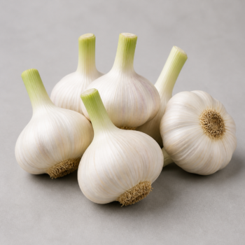 Organic Garlic fresh or semi-d