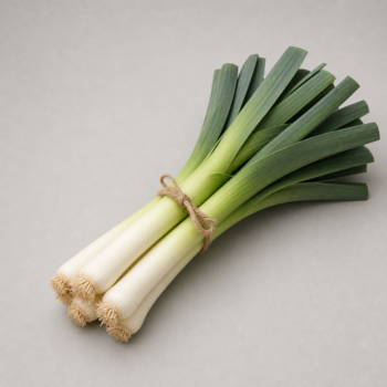 Organic Leek Regular