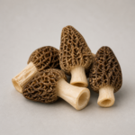 Organic Mushroom Morel