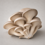 5972-organic-oyster-mushrooms