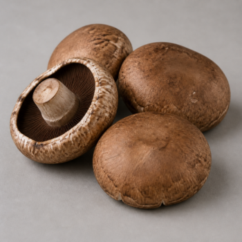 Organic Mushroom Portabella