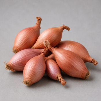 Organic Onion Shallots