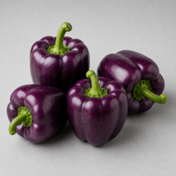 Organic Pepper Bell purple