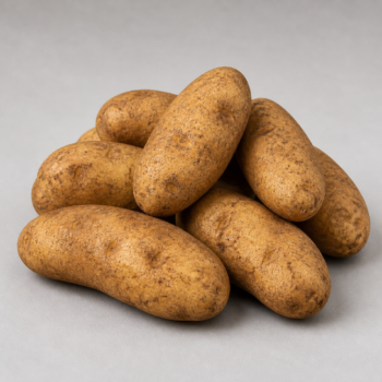 Organic Potato Russet