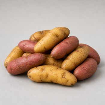 Organic Potato Fingerling