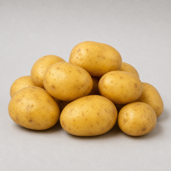 Organic Potato Yellow
