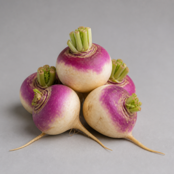 Organic Turnip Purple Top
