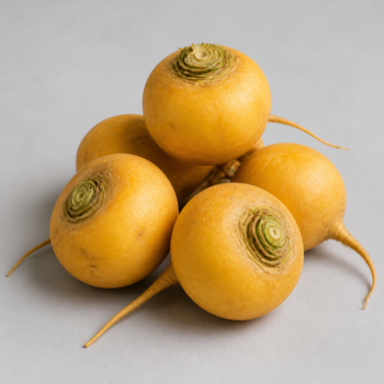 Organic Turnip Yellow