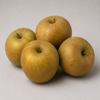 Apple Russet