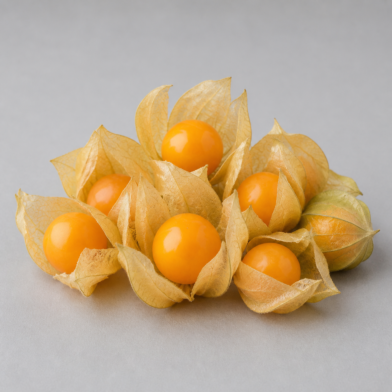 6071-ground-cherries