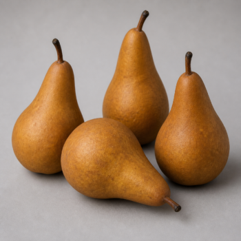 Pear Bosc