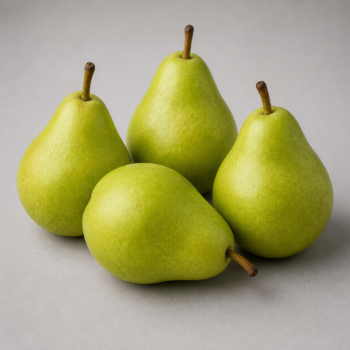 Pear D’Anjou