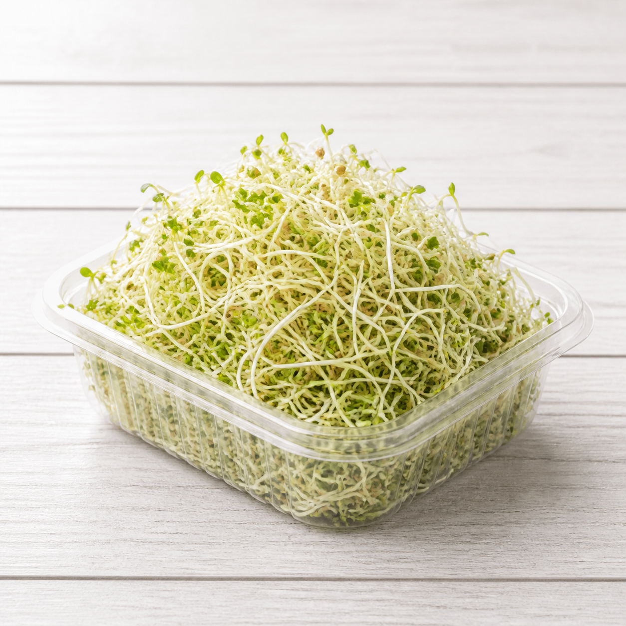 6123-alfalfa-sprouts Alfalfa sprouts