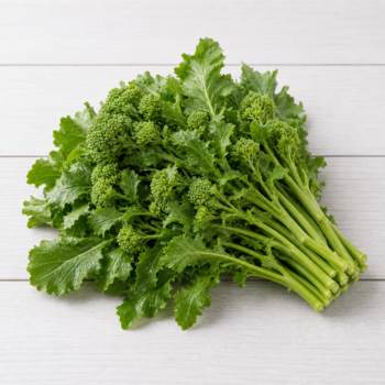 Broccoli rabe Italian rapini