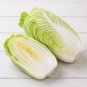 Napa cabbage