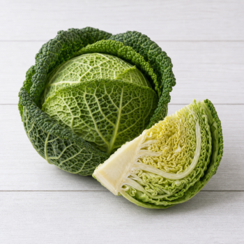 Savoy cabbage