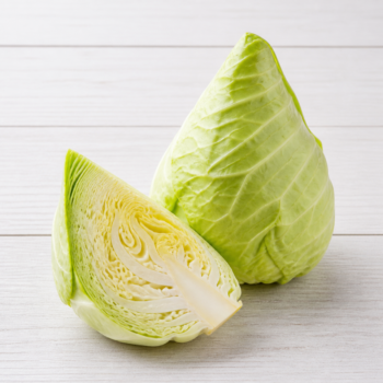 Summer pointed cabbage