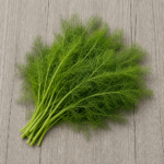 6160-fennel-leaves