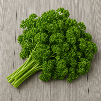 Herbs Parsley  Curly