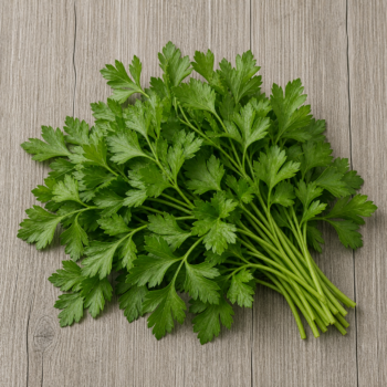 Herbs Parsley  Italian