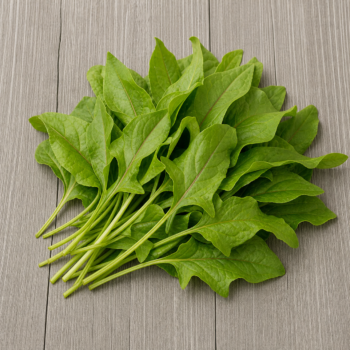 Herbs Sorrel