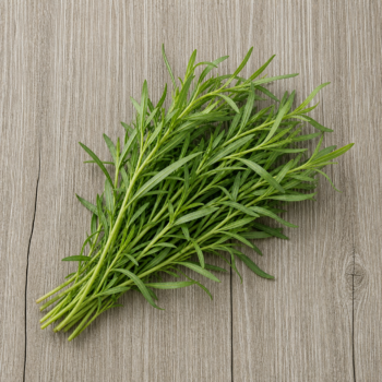 Herbs Tarragon