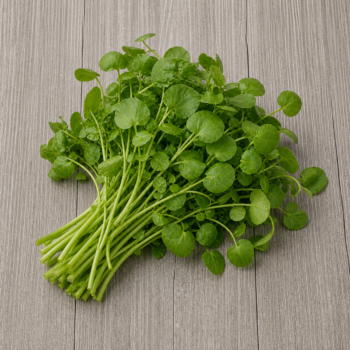 Herbs Watercress