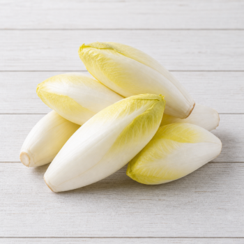 Endive lettuce