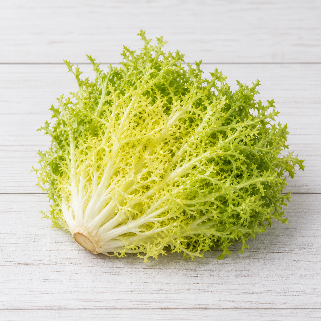 6180-frisee-lettuce Frisee lettuce