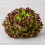 6184-red-leaf-lettuce