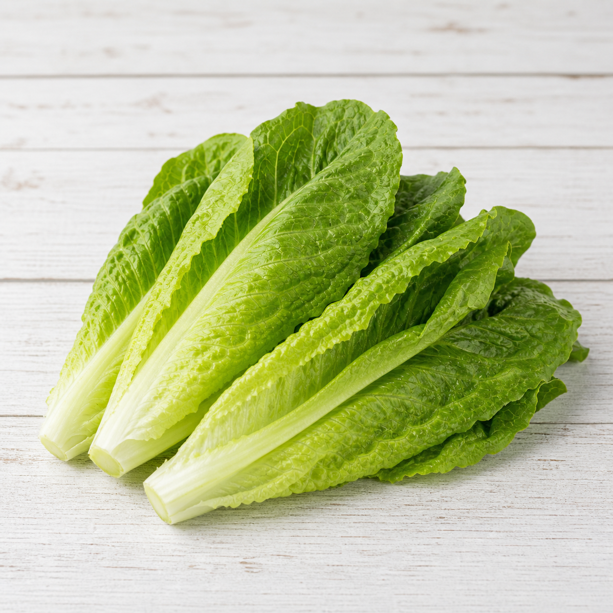 6185-loose-romaine-lettuce Loose romaine lettuce