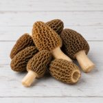 6188-morel-mushrooms