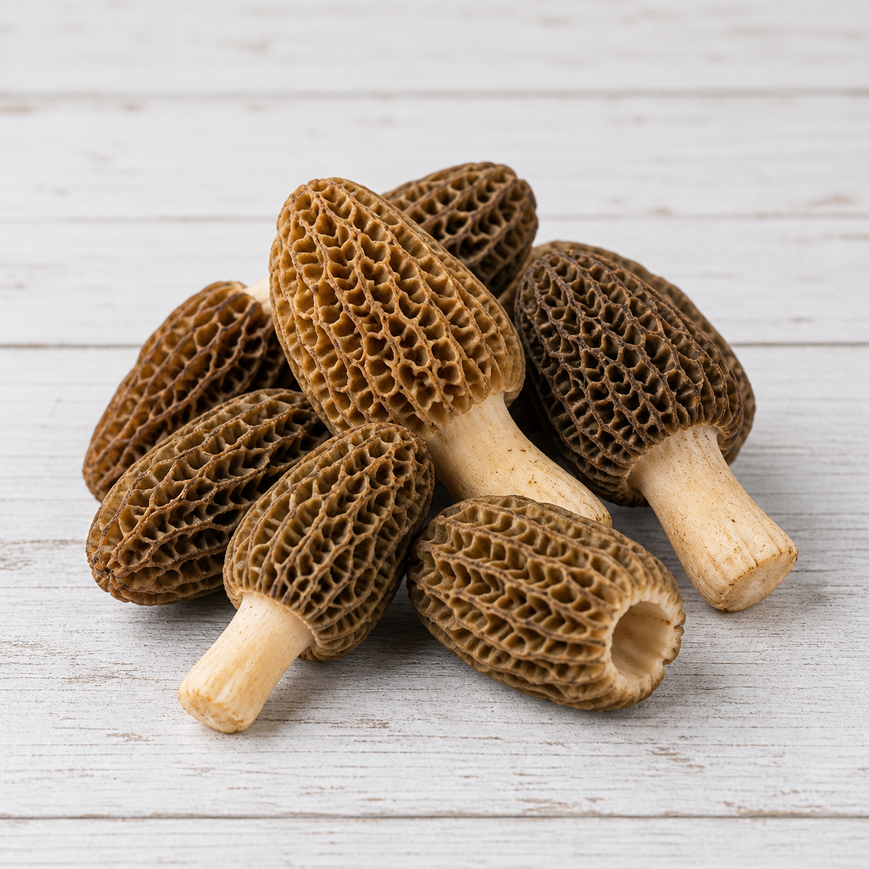 6188-morel-mushrooms Morel mushrooms