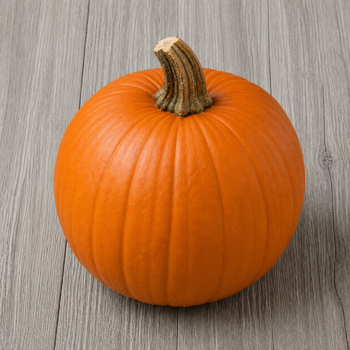 Pumpkin Regular