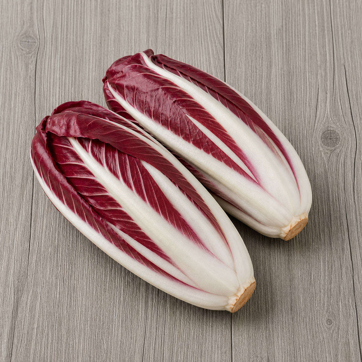 6210-radicchio-treviso
