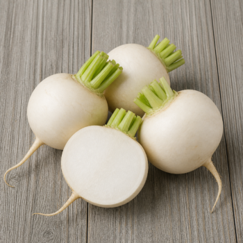 White Turnip