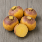 6239-yellow-turnip