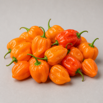 Local Habanero Peppers