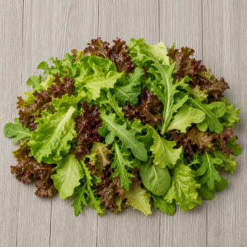 Organic Lettuce Blend