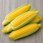 6330-yellow-corn-chocolate-sunshine