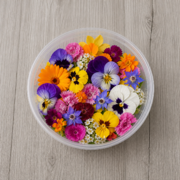 Edible Flowers
