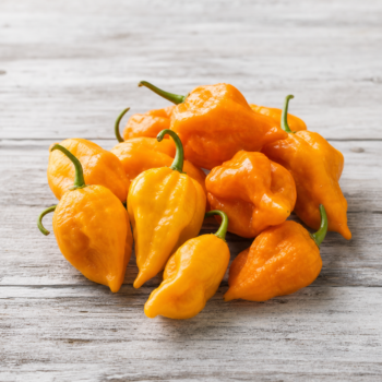 Fatalii Peppers